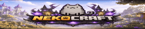 bannière du serveur