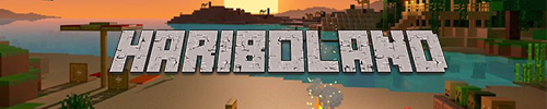 bannière des serveur
